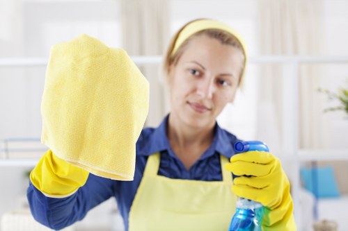 Professional carpet cleaning in a Woodford home living room