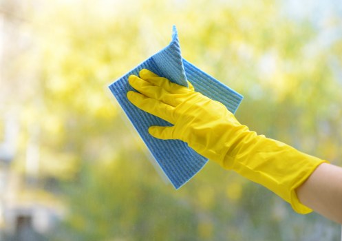 Professional upholstery cleaning in Woodford for a fresh living room sofa