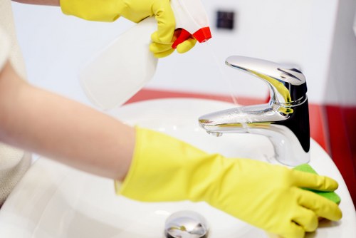 Carpet cleaning inspection and assessment discussion