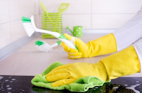Residential upholstery cleaning for sofas and armchairs in Woodford