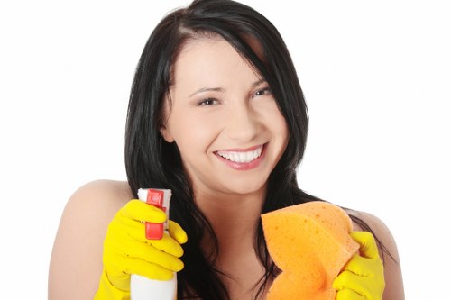 Deep cleaning treatment for a carpet with visible stains